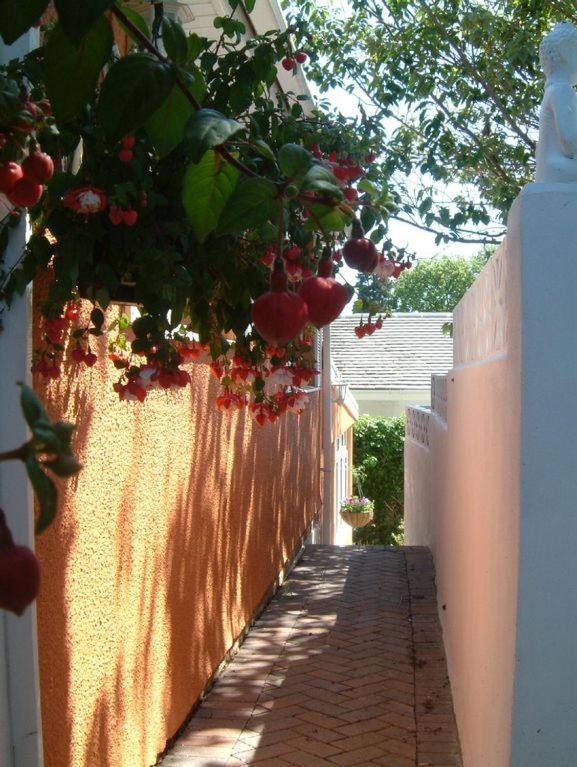 Grockle Nook Holiday Apartment Brixham Exteriér fotografie